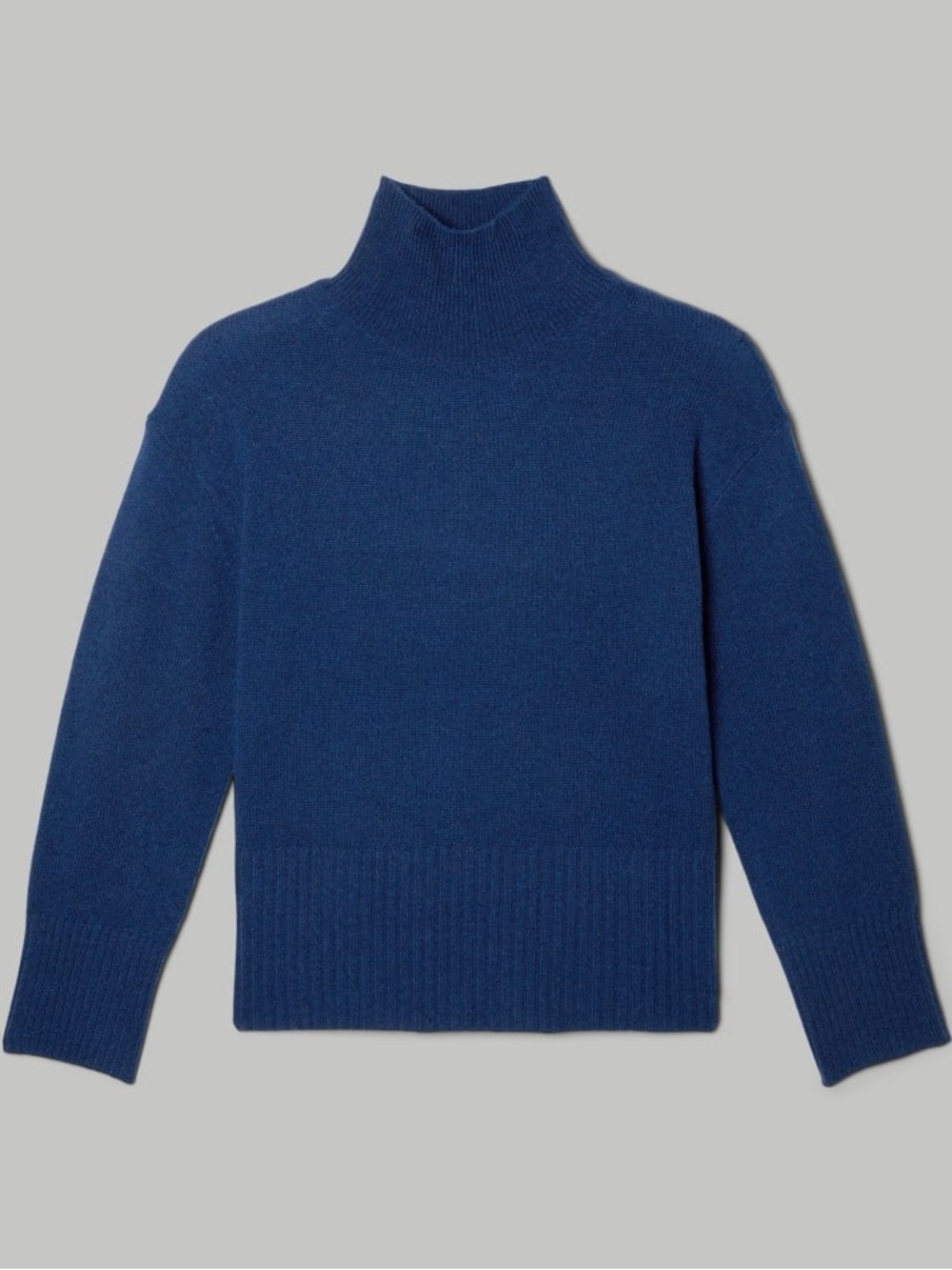 Everlane THE CASHMERE OVERSIZED TURTLENECK